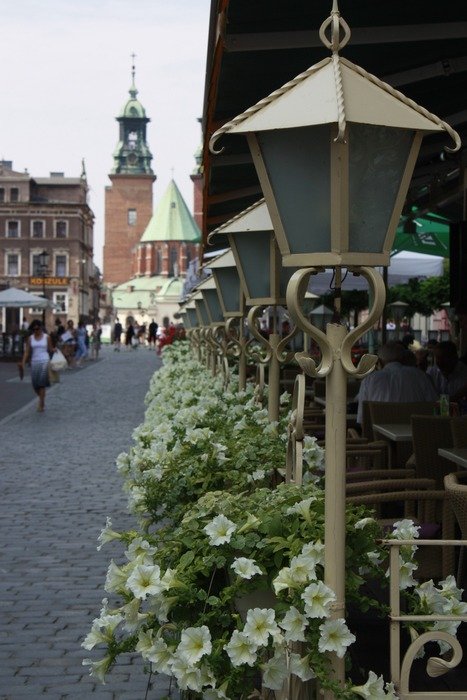 flowers at vinage street lanterns in old town
