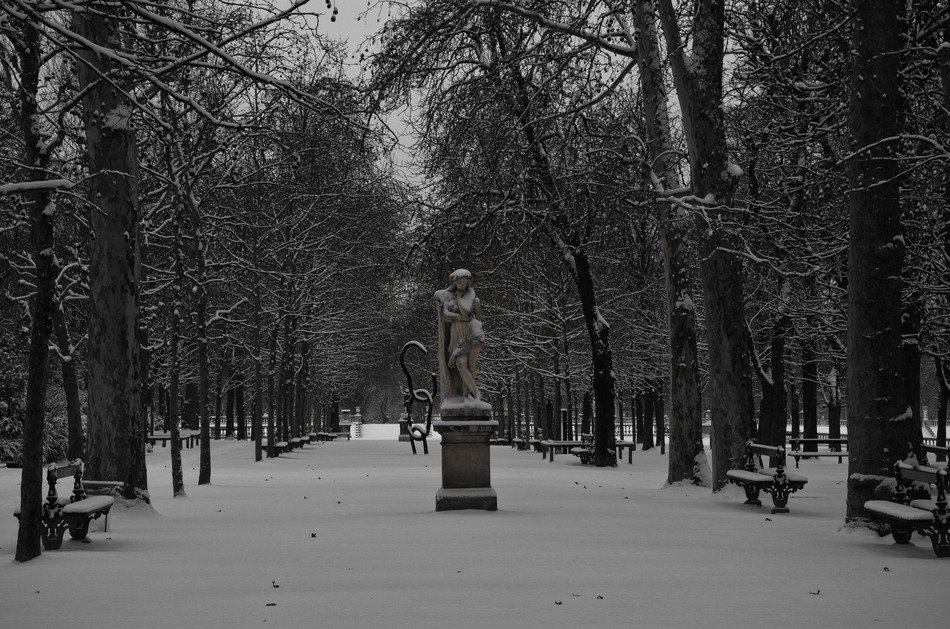 statue in the middle of the park in winter paris