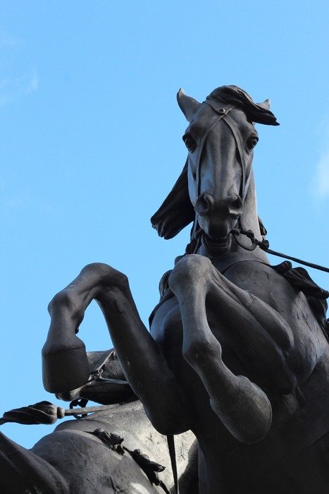 historic horse culture