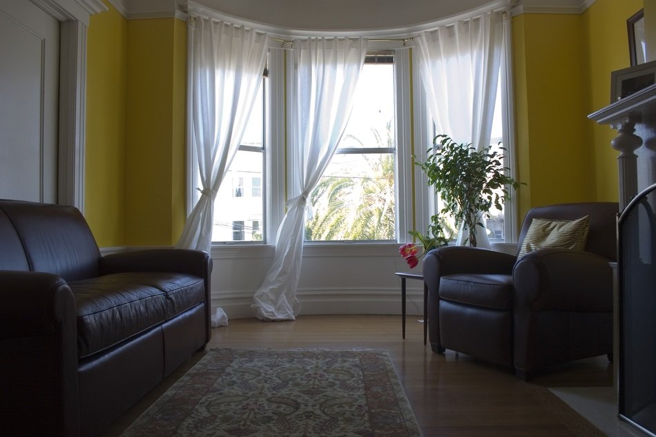 classic furniture and carpet in living room