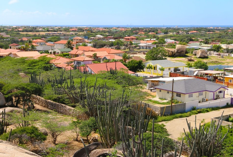 cacti among houses in aruba