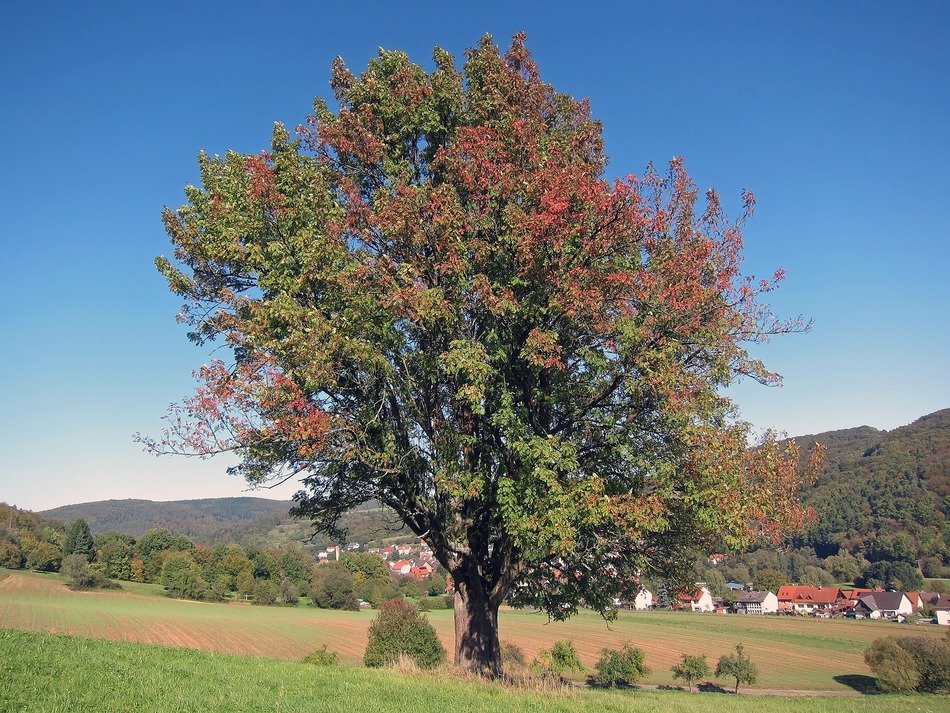 beautiful germany landscape