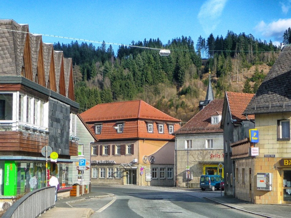 city view in front of the forest