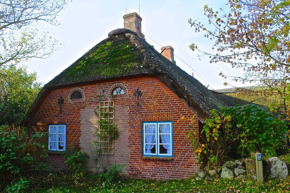 thatched green roof of the house