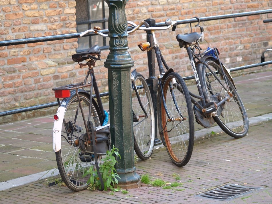 bicycles stand outside in netherlands
