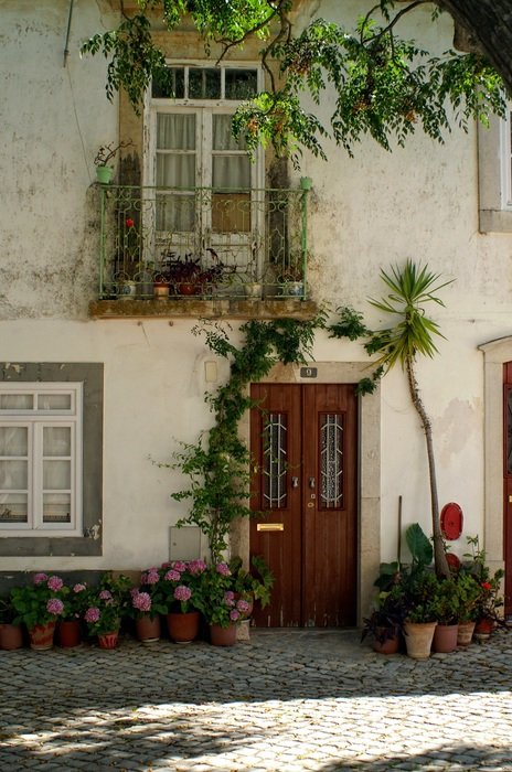 potted flowers at the rear entrance of a building in Portugal