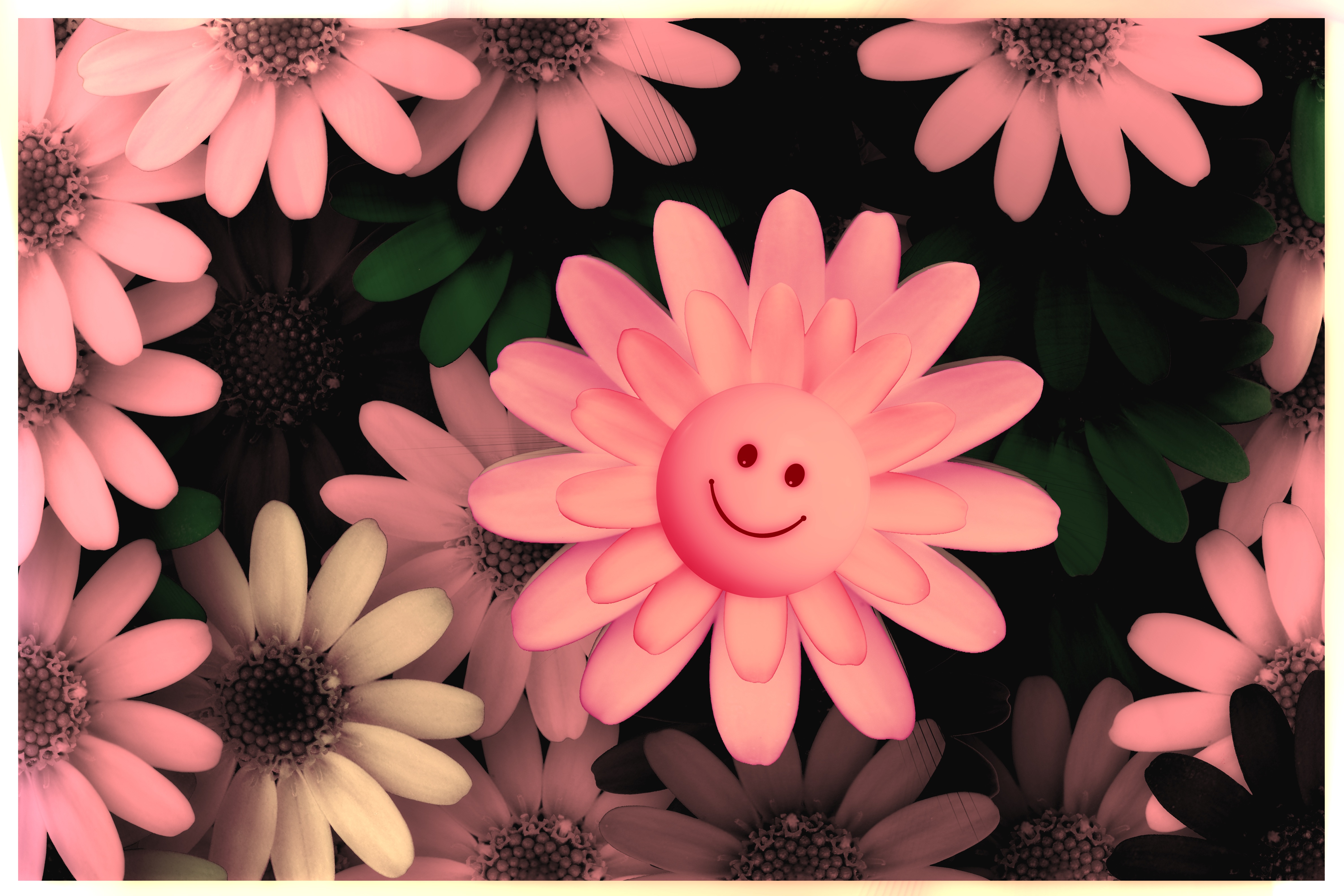 Красивые смайлики цветов. Цветок с улыбкой. Цветочек с улыбкой. Цветочек улыбается. Улыбчивый цветок.