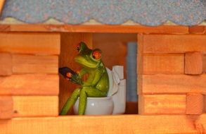 frog with mobile phone in the toilet window