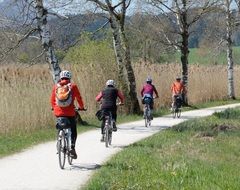 Cyclists on a path