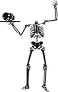 skeleton with head on plate drawing