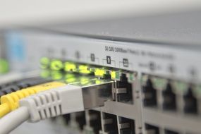 Macro photo of ethernet switch