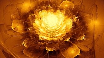 Picture of gold flower