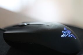 black computer mouse close up