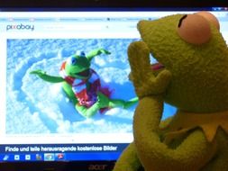 kermit frog on computer