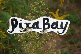 pixabay, board with letters on inflorescence of plant