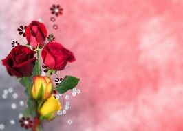 multi-colored roses as a decor for the background