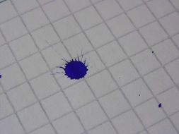 blue blot in the math notebook
