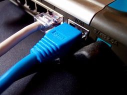 Photo of internet cable