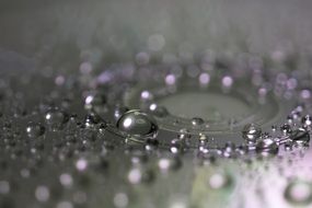 Water droplets on a computer disk