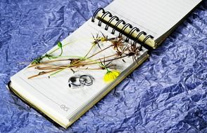 Dried plants on a notepad sheet