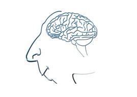 Caricature of human's head with brain in it