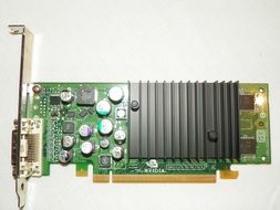 video card of the computer