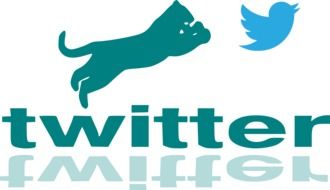 inscription of social networking site Twitter and its mirror image in the background of a lion and bird