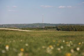 distant television tower and fields with colorful plants