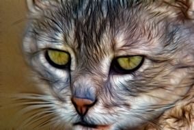 cat face, digital art