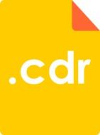 yellow icon for a cdr document