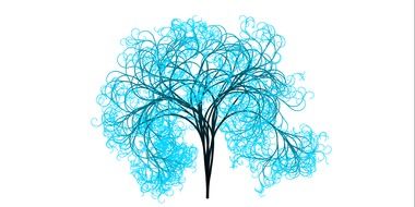 tree branches light blue drawing