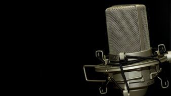 professional microphone