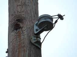 telephone pole wire