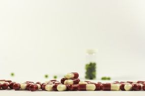 pharmaceutical preparations