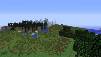 meadows and trees in the minecraft game