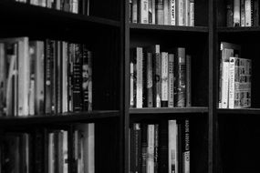 bookshelves library