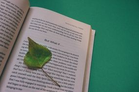 open book with a leaf