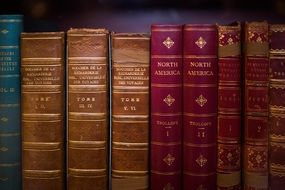 bookshelf with encyclopedias