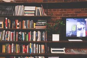 TV near bookshelves