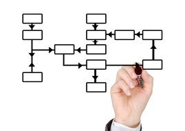 marker drawing of an organizational chart on a white background