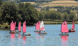 sailboats with pink sails on the lake