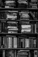 bookshelf library monochrome photo