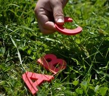 English letters on the grass