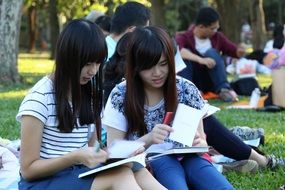students sitting on the grass