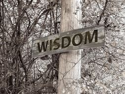 shield with the word "wisdom" on wood in monochrome