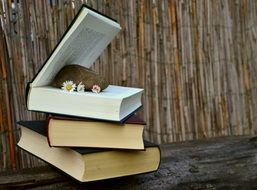 flowers and stone in books for reading