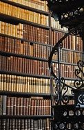 shelves with books library