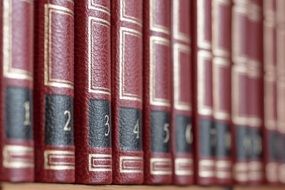 books in leather cover in library