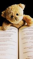 Cute teddy bear on the book