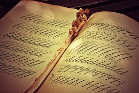 old samples in words